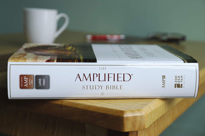 Amplified Study Bible Large Print