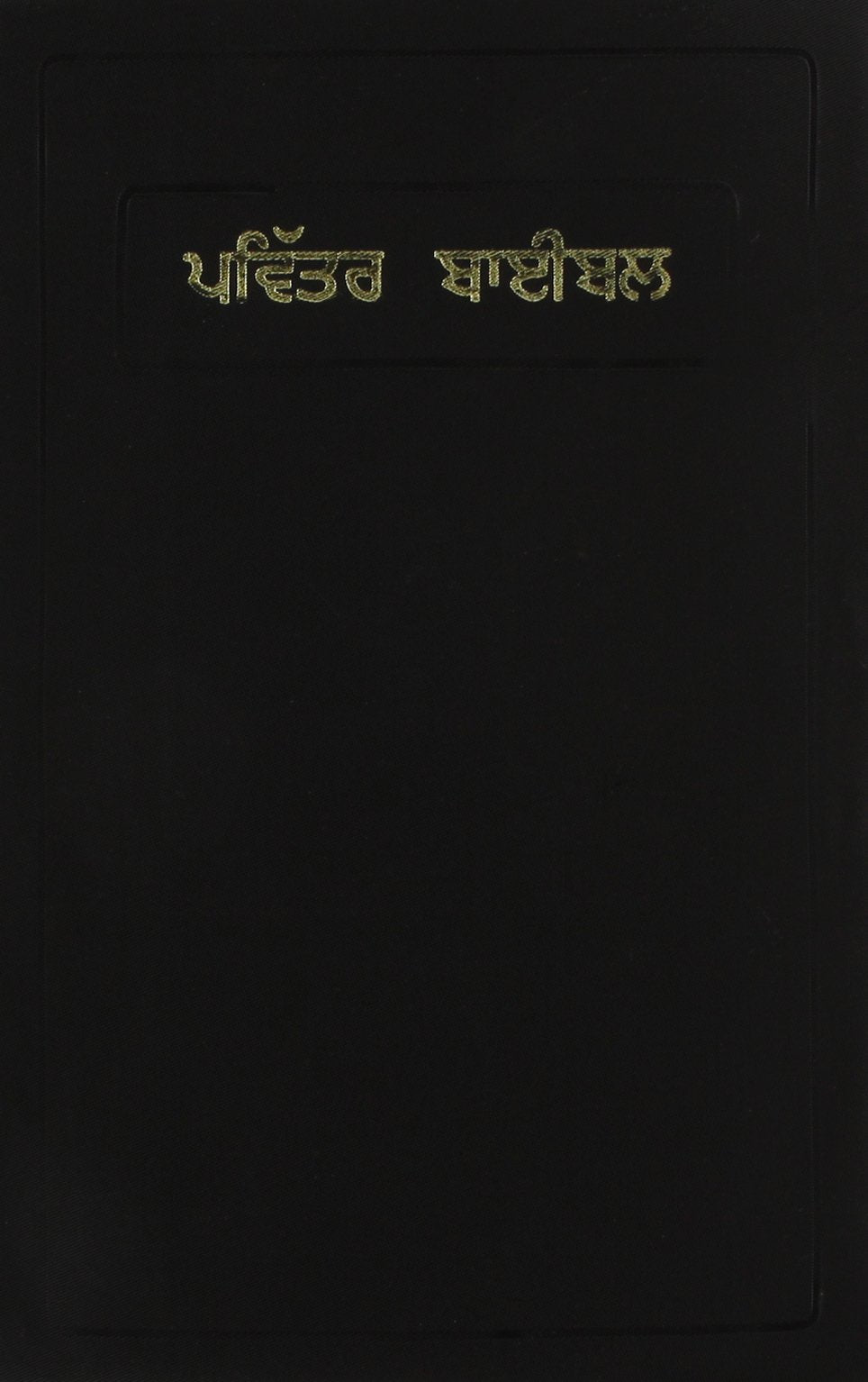 Bible Punjabi Common Language Black Vinyl