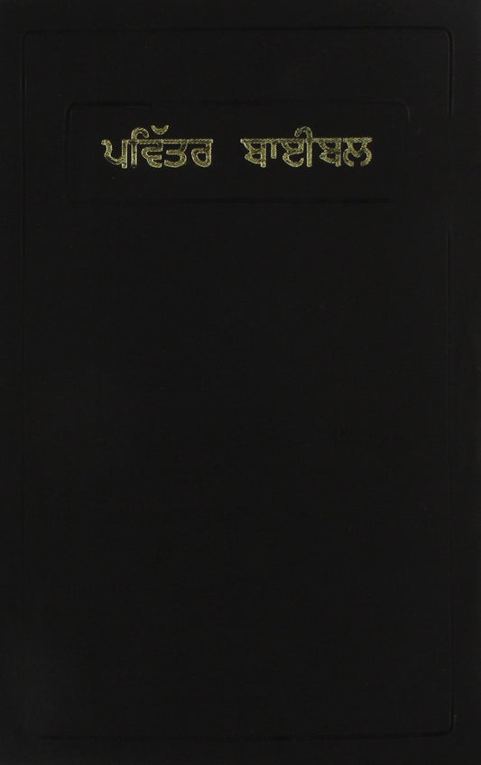 Bible Punjabi Common Language Black Vinyl