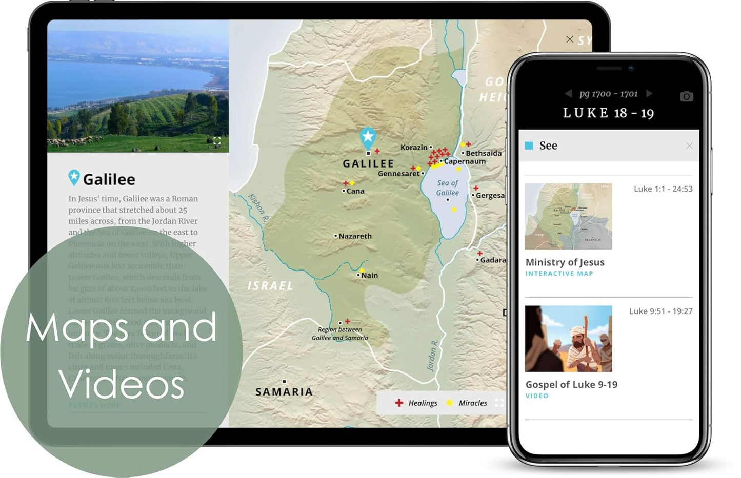 NLT Bible Thinline Ref Filament Enabled Berry Im/Lth