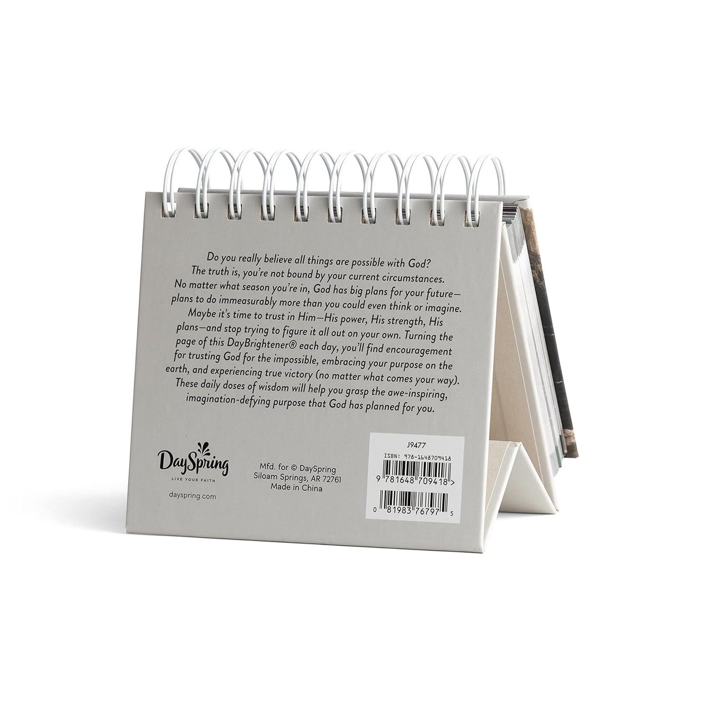 Daybrightener Designed For Greatness