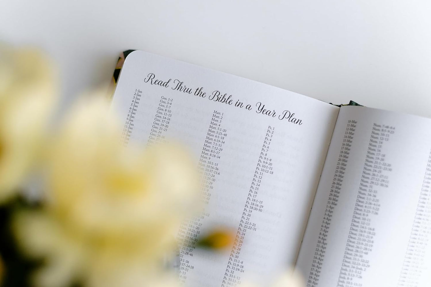 Daily Wisdom for Women 2025 Devotional Collection