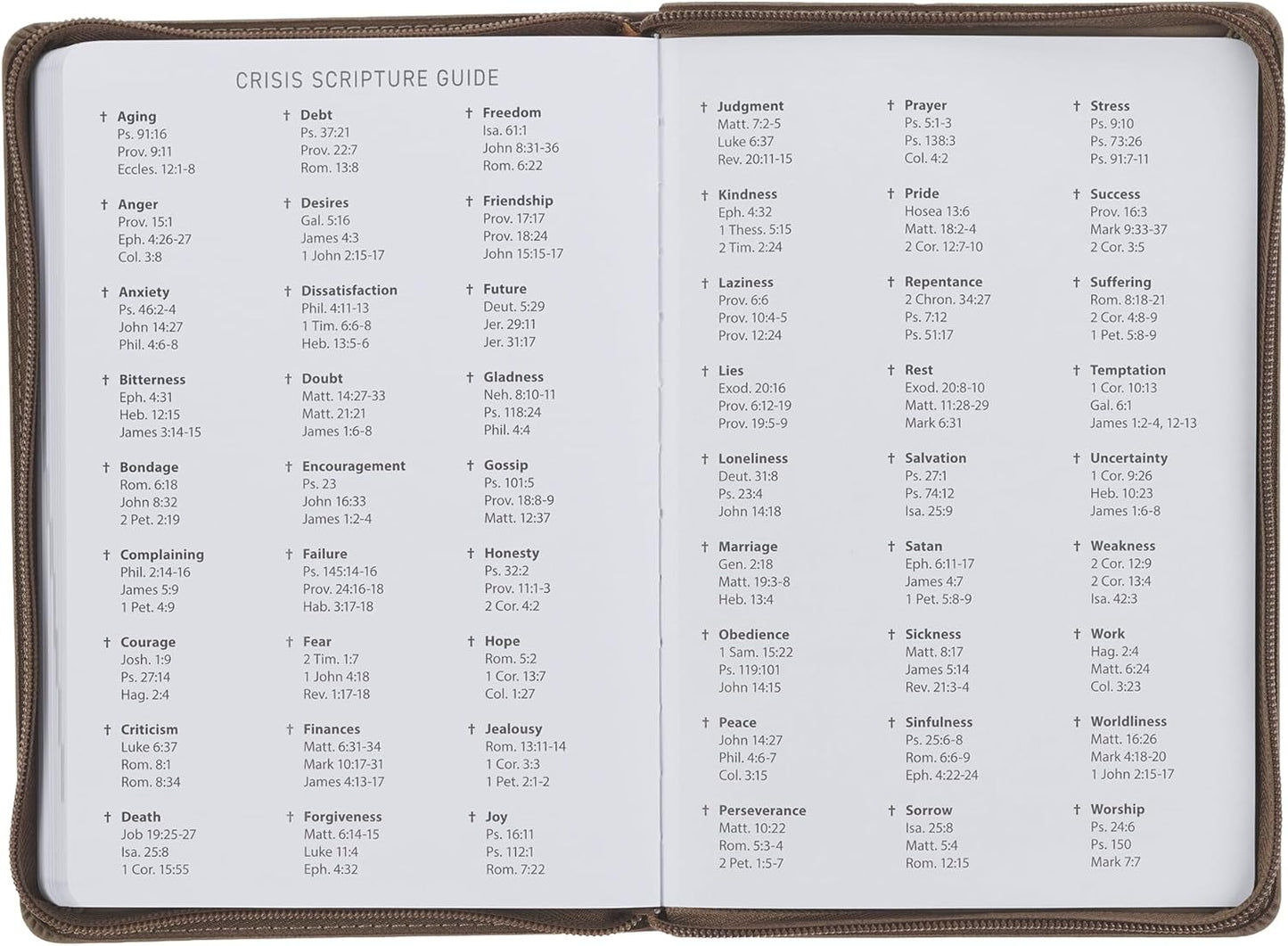2027 I Can Do All This Brown Executive Planner w Zipper