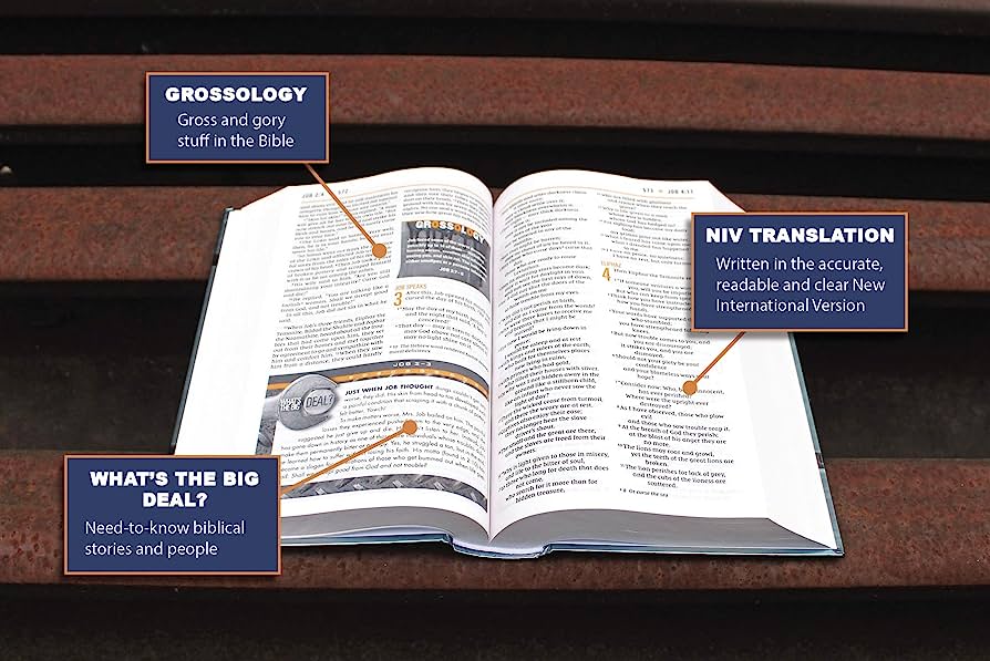 NIV Bible Boys Metalic Look (H/B)