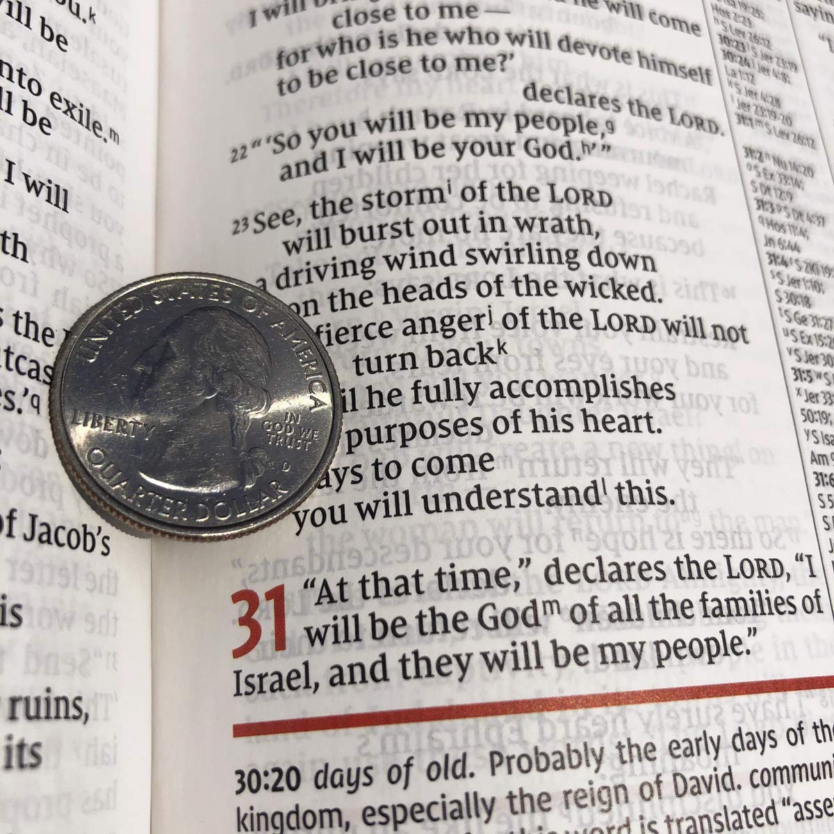 NIV Study Bible Fully Revised Edition Black I/L