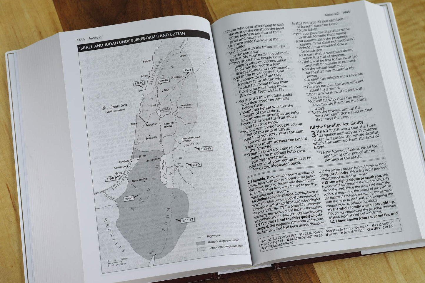 Amplified Study Bible L/P (H/B)