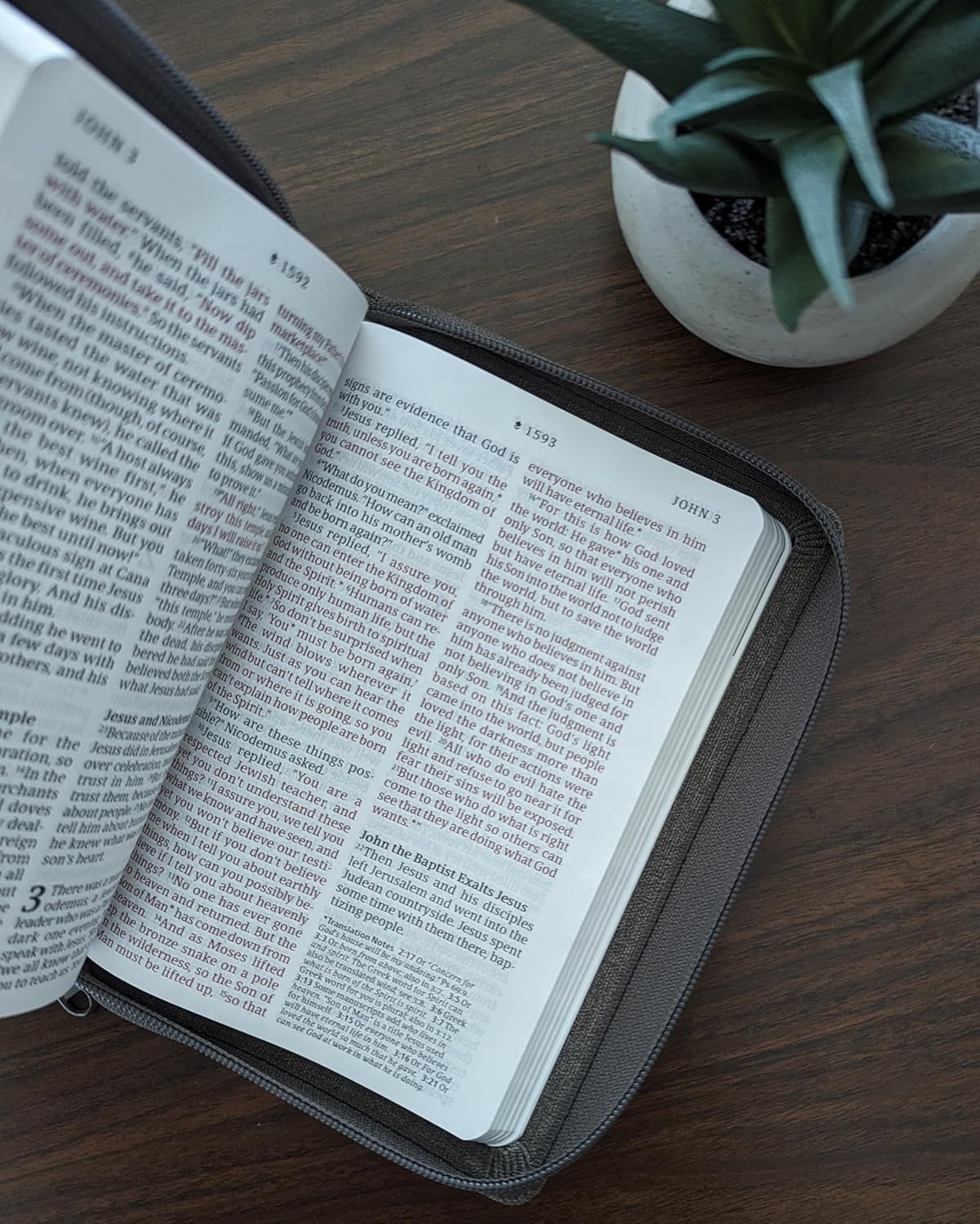 NLT Bible Compact G/P Zip Filament Grey I/Lth