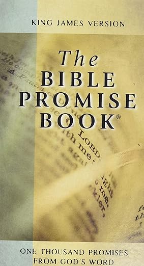 Bible Promise Book
