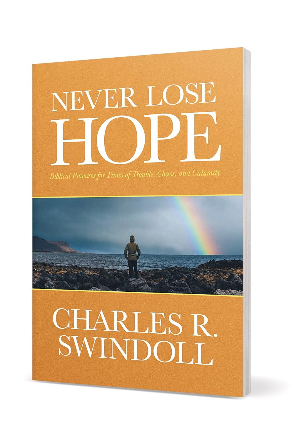 Never Lose Hope by Charles R. Swindoll (Author)