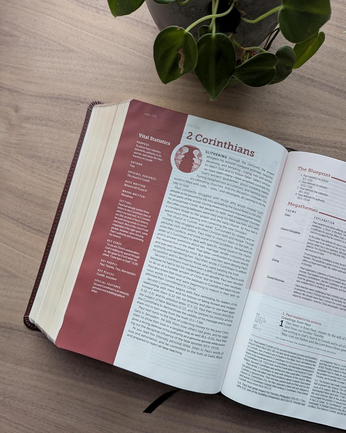 NLT Lab Study Bible 3rd Ed Red Letter - Brown (Im/Lth)