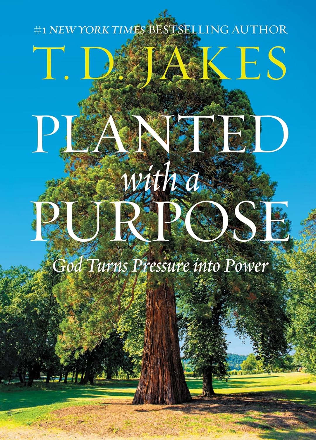 Planted for a Purpose: God Turns Pressure into Power - T. D. Jakes