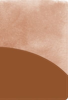 CSB Rainbow Study Bible