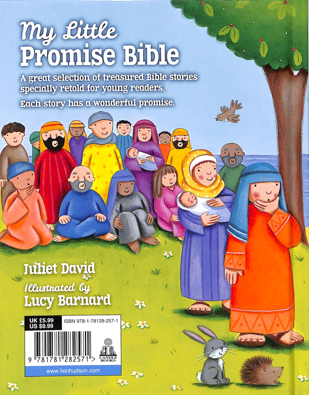 My Little Promise Bible by David Juliet