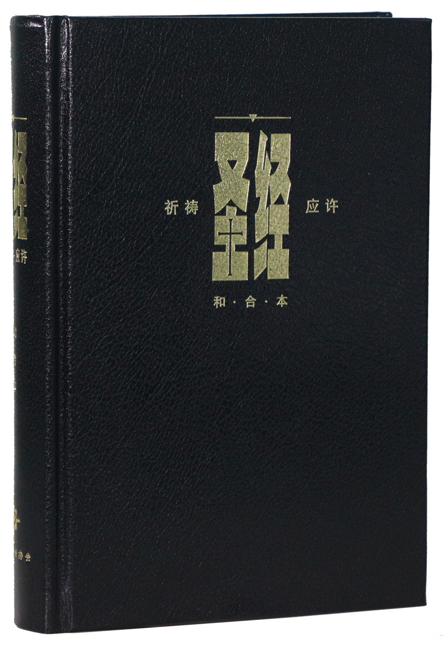 Prayer and Promise Edition. Black hardcover, white border, simplified Chinese