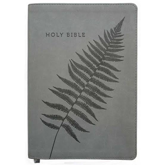 NLT Bible Fern Grey Im/Lth