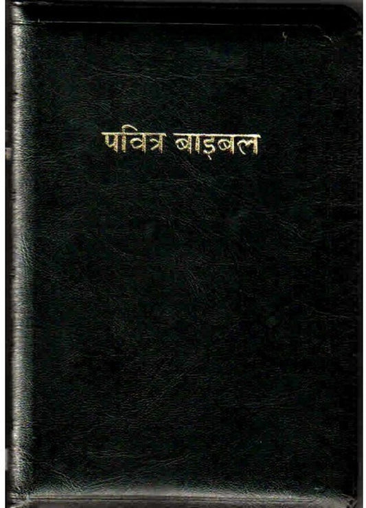Bible  Hindi (Vinyl Black)