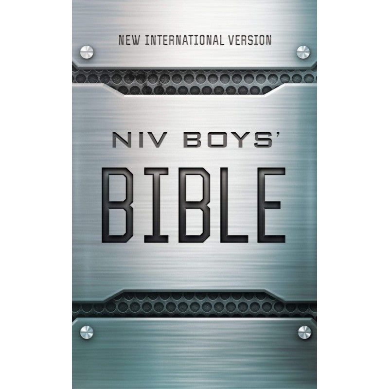 NIV  Bible Boys Metalic Look (H/B)