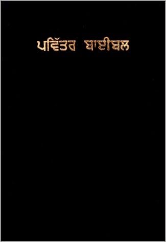 Bible  Punjabi (Vinyl Black)