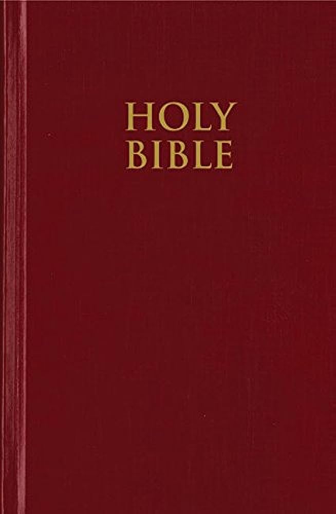 NIV  Pew Bible Red-81476 (H/B)