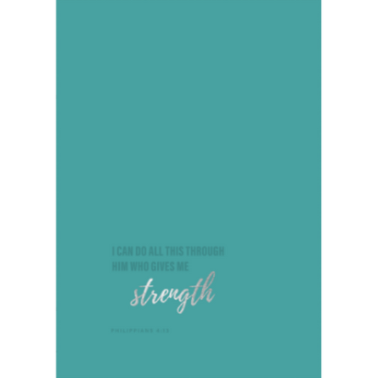 NIV  Bible Strength Dutone Teal Index Zip