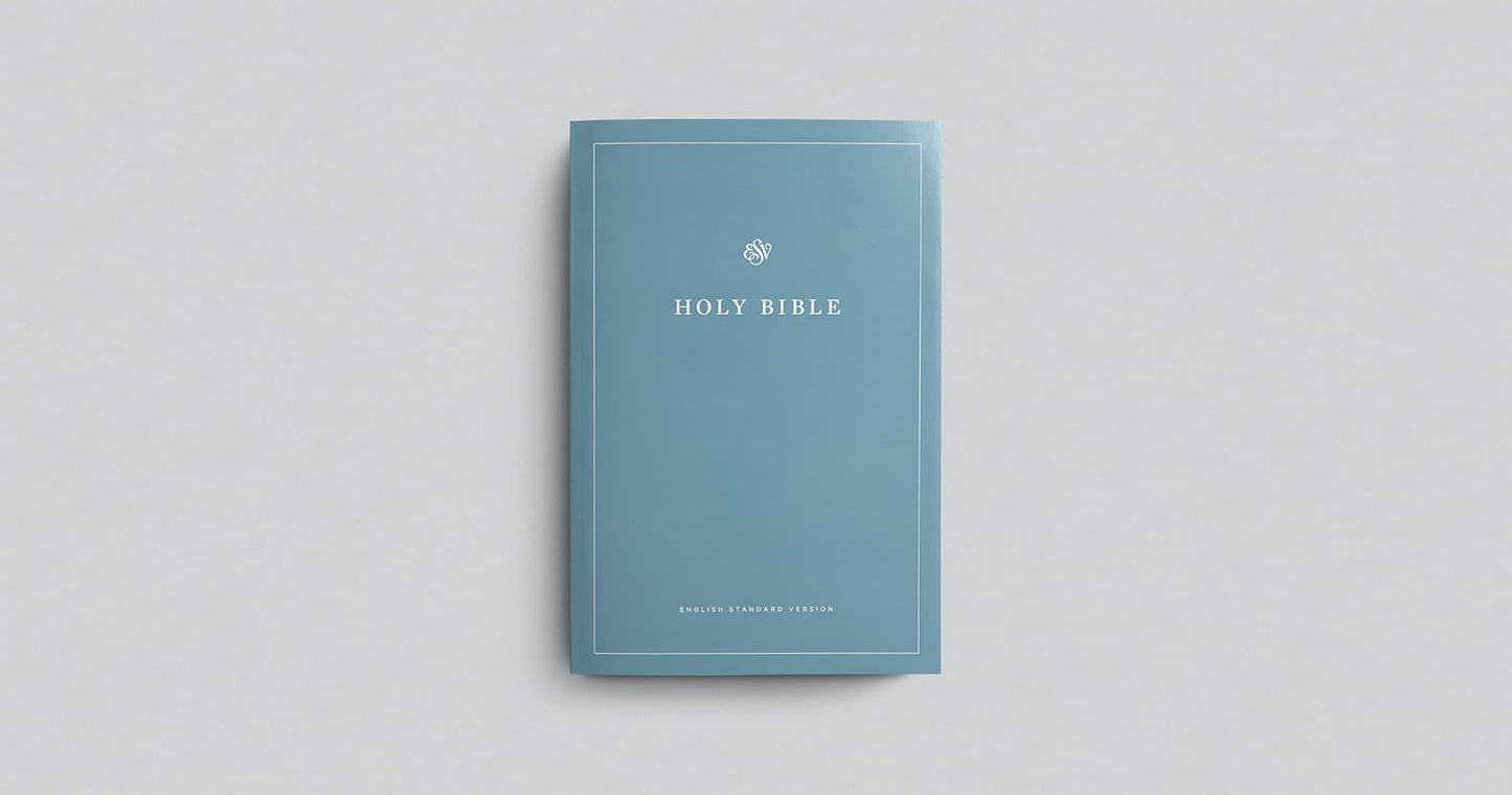 ESV  Bible Economy (P/B) Teal