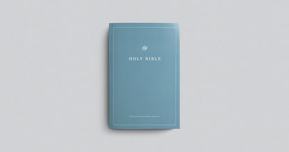ESV  Bible Economy (P/B) Teal