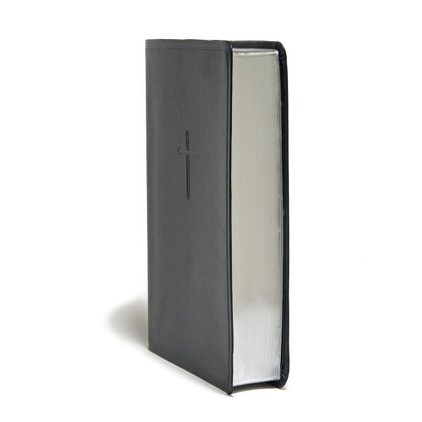 KJV Everyday Study Bible, Black Leathertouch: Black Letter, Study Notes, Illustr