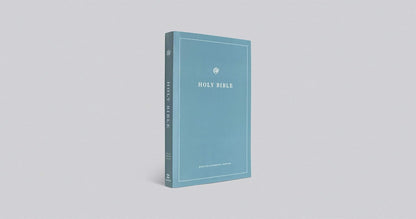 ESV  Bible Economy (P/B) Teal