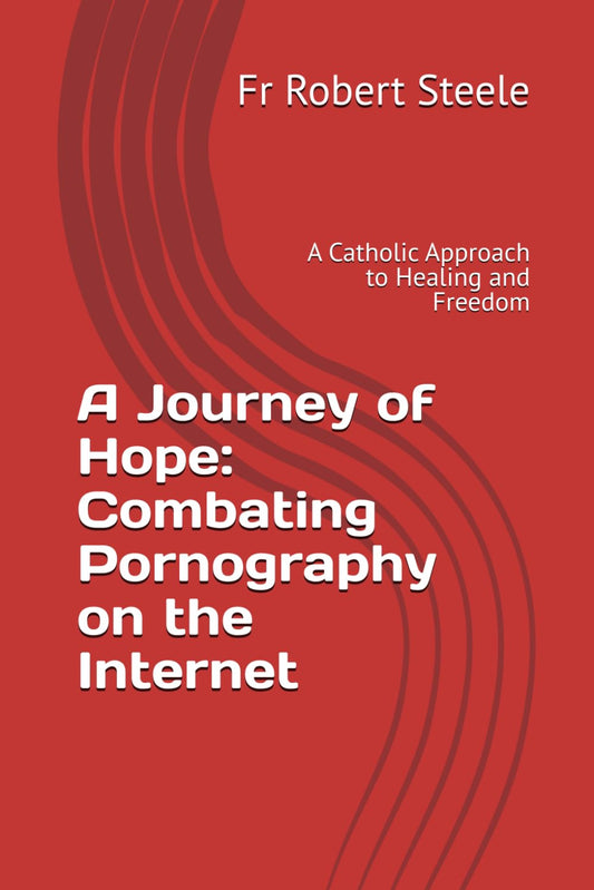 A Journey of Hope: Combating Pornography on the Internet