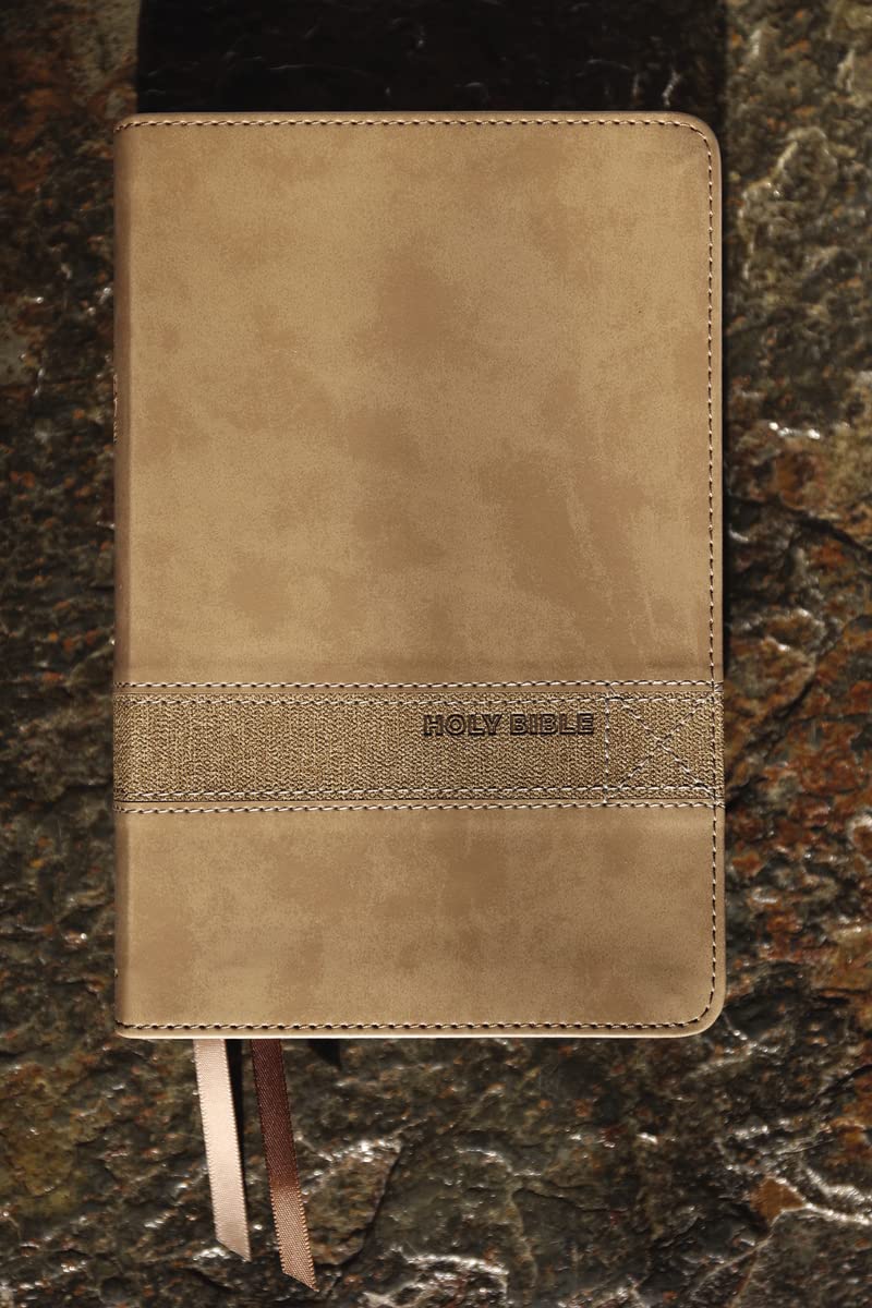 NIV  Bible Teen Study Compact Brown Im/Lth