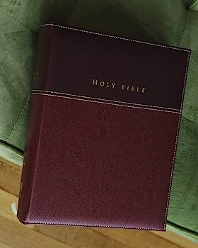 NIV Bible Family Keepsake Edition Burgundy Lth/soft