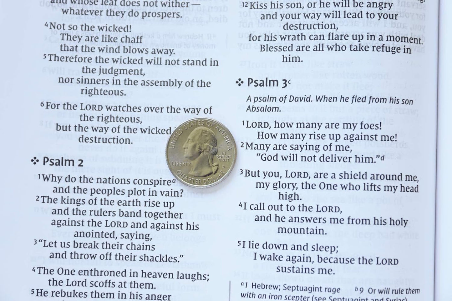 NIV  Bible Value Thinline L/P Char/Blk Im/Lth Comfort Print