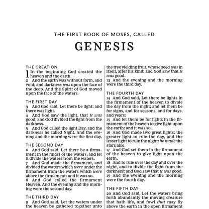 KJV Thinline Bible Red Letter Edition [Large Print, Brown]