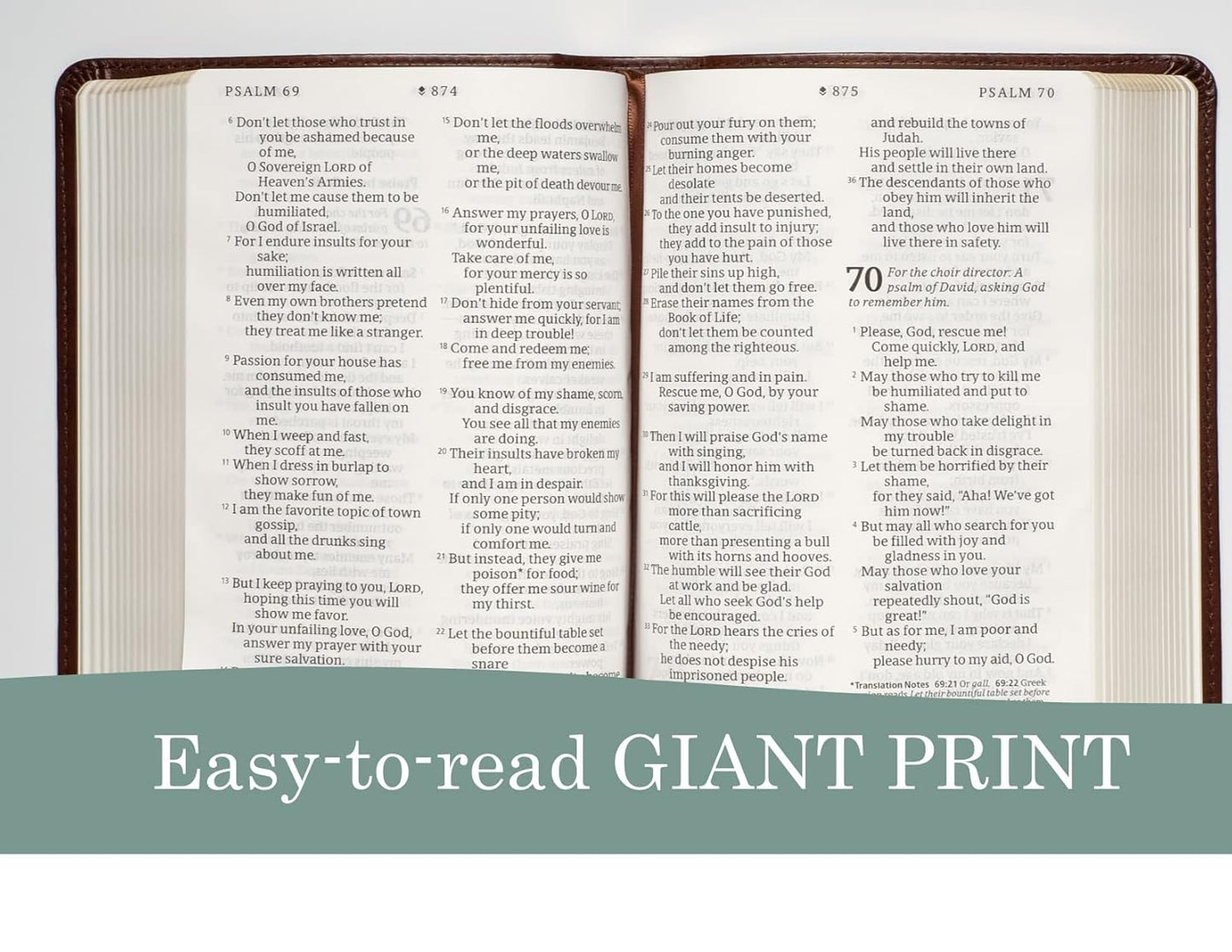 NLT Compact Giant Print Bible, Filament Enabled
