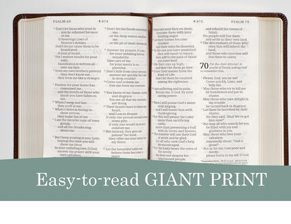 NLT Compact Giant Print Bible, Filament Enabled