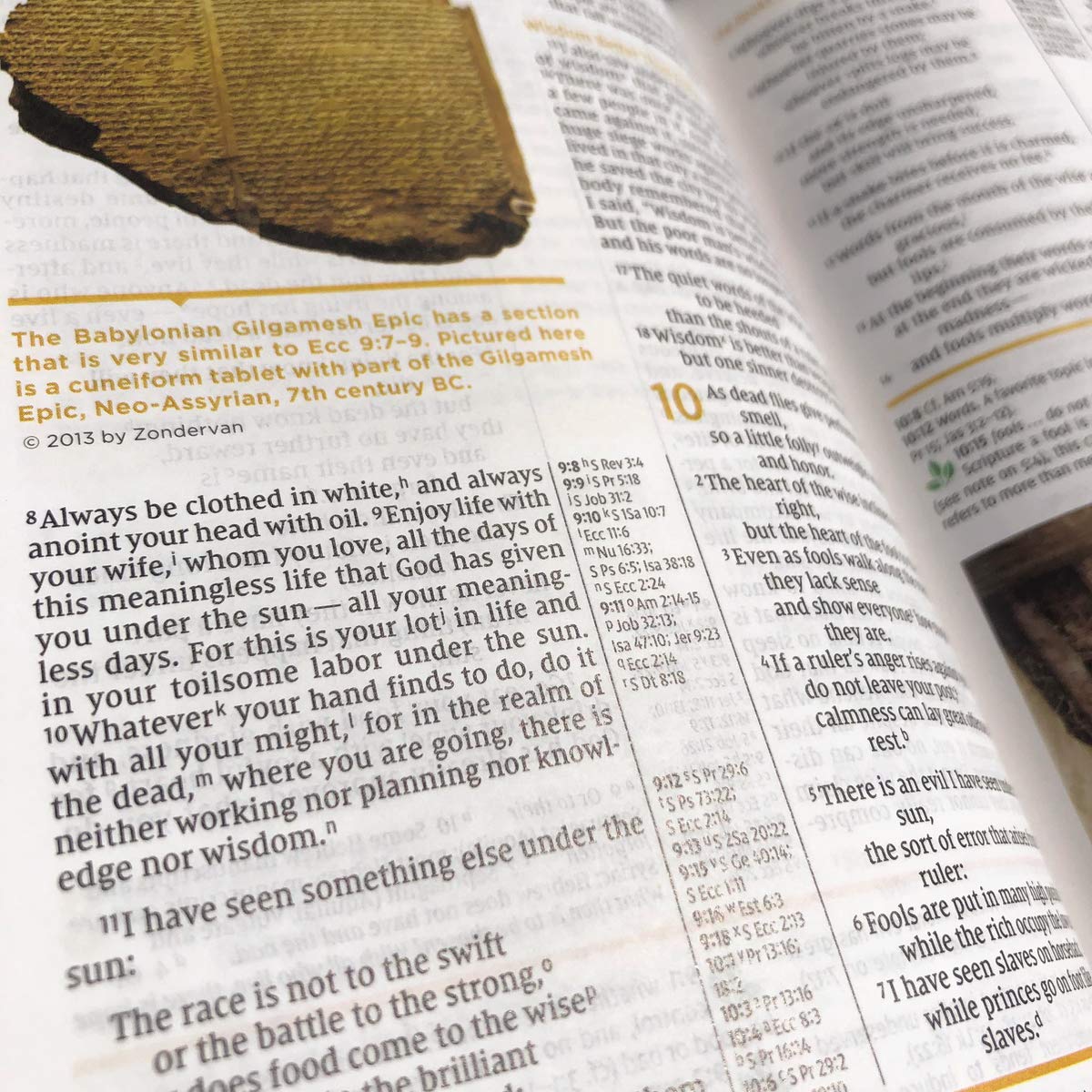 NIV Study Bible, Fully Revised Edition, L/P, Comfort Print, Brown