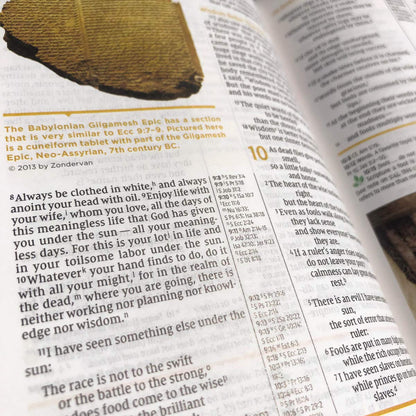 NIV Study Bible, Fully Revised Edition, L/P, Comfort Print, Brown