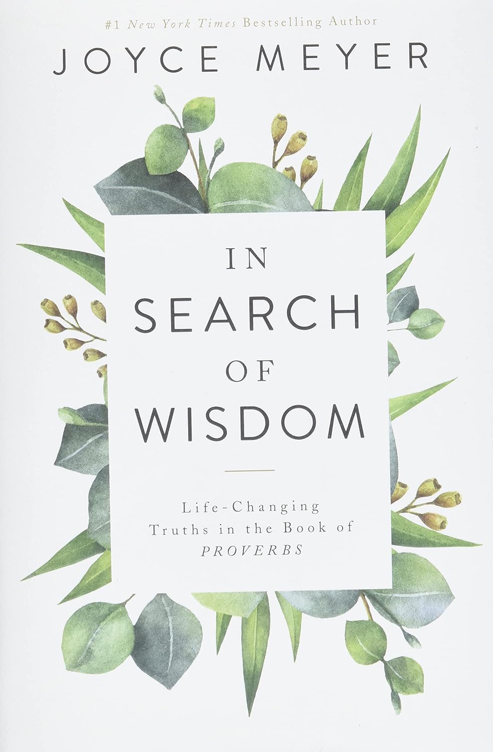 In Search of Wisdom: Book of Proverbs - Joyce Meyer
