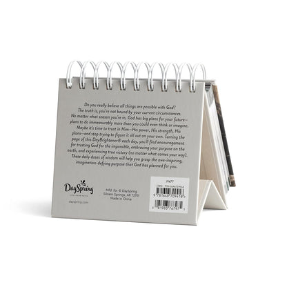 Daybrightener Designed For Greatness