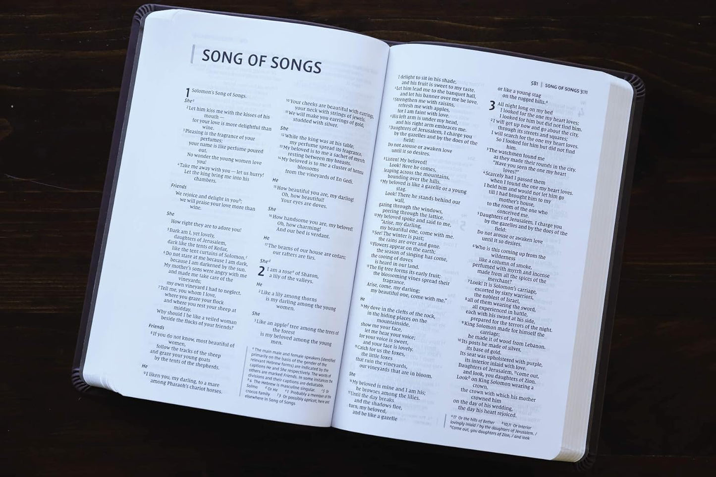 NIV  Bible Value Thinline Chocolate Comfort Print Lth/Soft