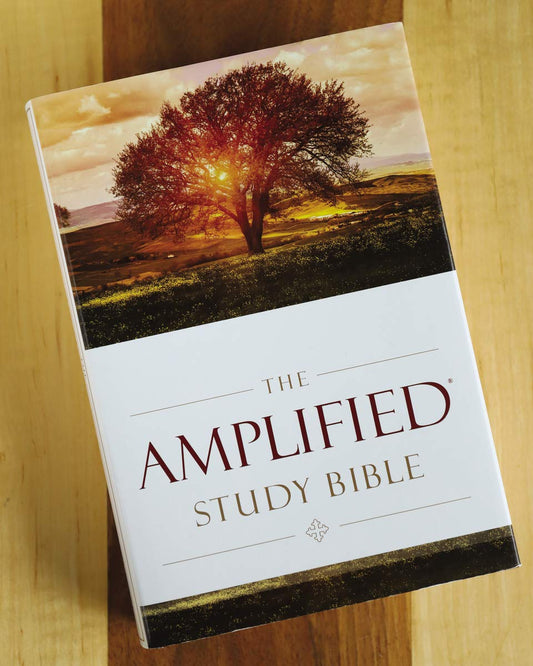 Amplified Study Bible Large Print