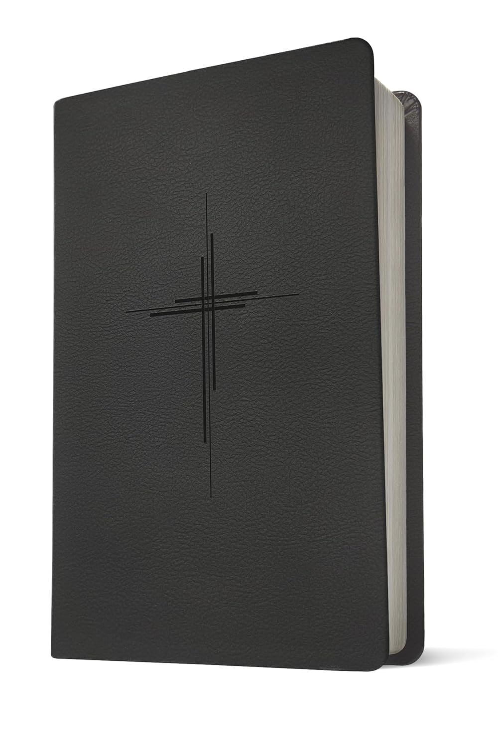 NLT Bible Prem Value Thinline Filament Black Im/Lth