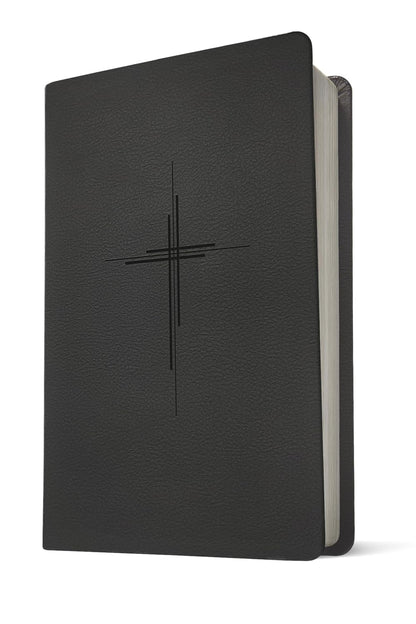 NLT Bible Prem Value Thinline Filament Black Im/Lth