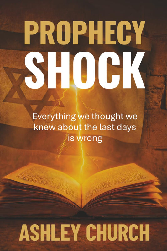 Prophecy Shock book cover by Ashley Church