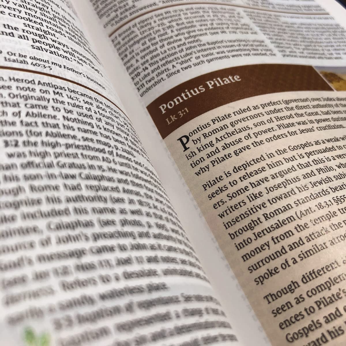 NIV  Study Bible Fully Revised Ed - H/B