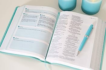 NIV Verse Mapping Bible For Girls - Lth/Soft Teal