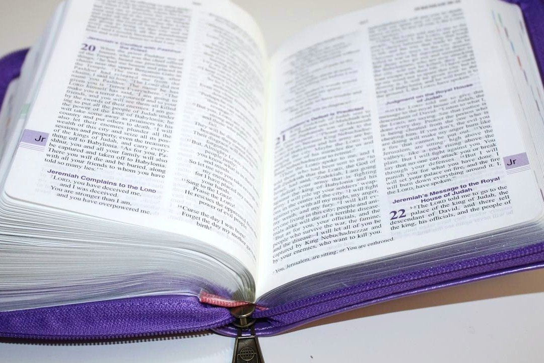 GNB  Purple Zip (Small)