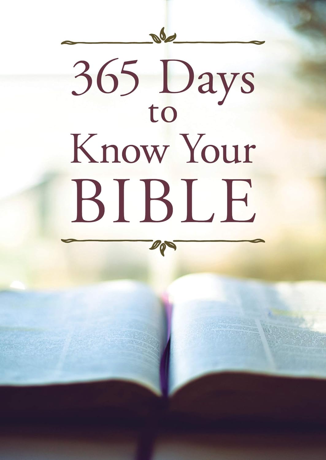 365 Days to Know Your Bible - Paul Kent