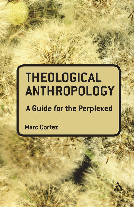 Theological Anthropology
