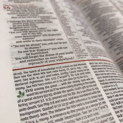 NIV  Study Bible Fully Revised Ed - H/B